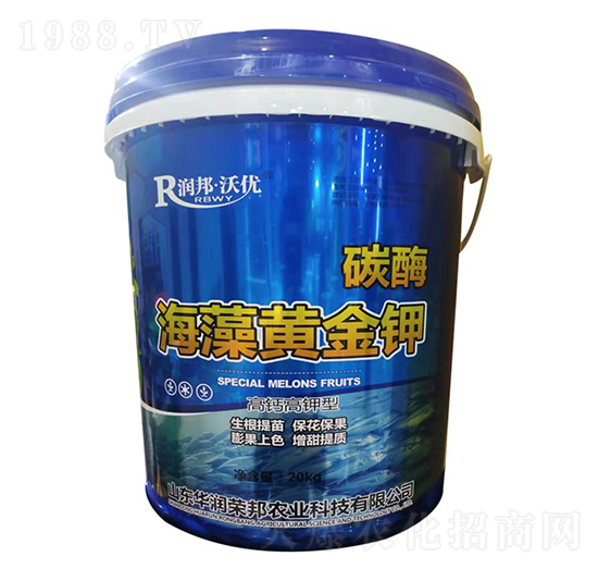 ���}�����̼ø�����S���-����փ�(y��u)-�A���s��