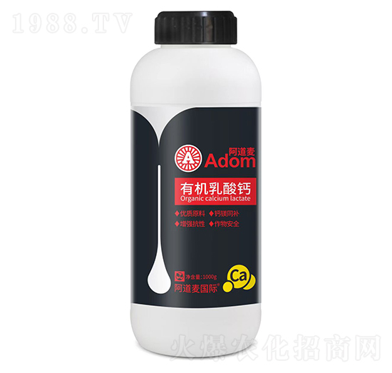 �ЙC�����}-������