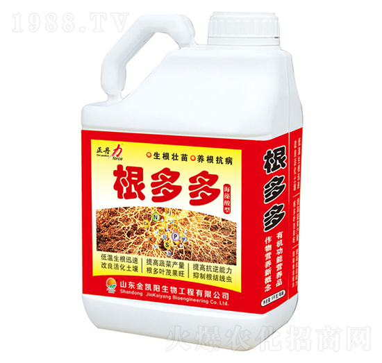 �����-������-���P�(y��ng)