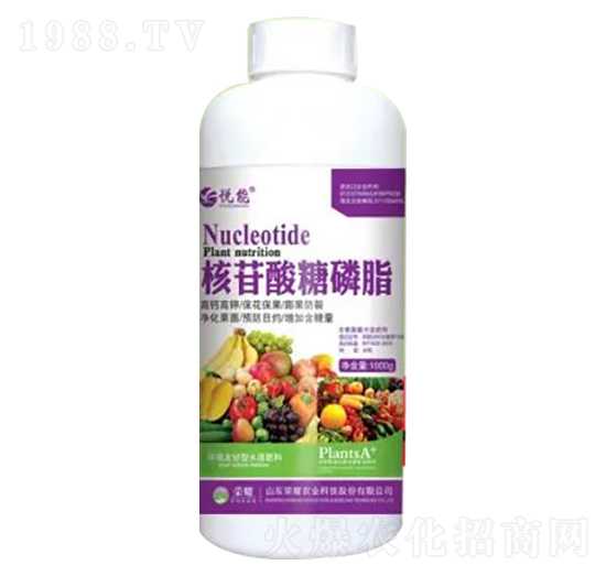 1000g����������֬-�sҫ�r(n��ng)�I(y��)