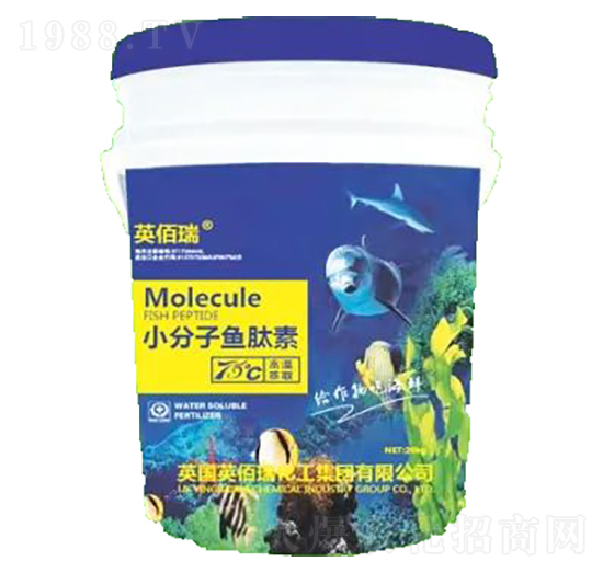 С�����~����-�sҫ�r�I(y��)