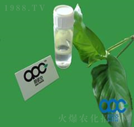 ��ϩ��-���ɿ�