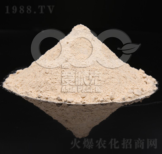 0.1%�|̦�؃�(n��i)��-���ɿ�