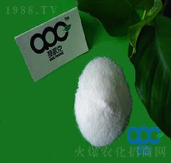 6-����������98%TC-��(��i)�ɿ�