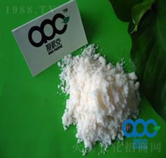 ������-���ɿ�