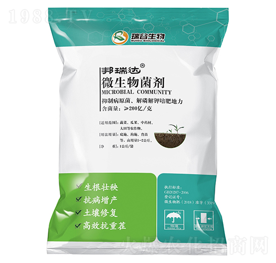 ΢�������-�����_-�̘�����