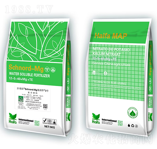 ʩ�Z��3̖(h��o)12-5-40+Mg+Te-�������Q(m��o)