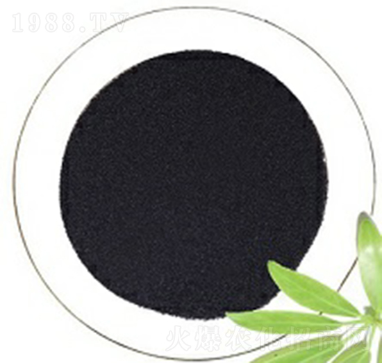 �S�����II��-���B��