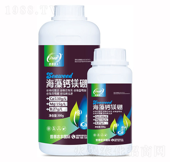 �����}�V��-�ջ��r�S