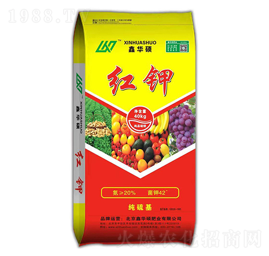 �t�-���A�T