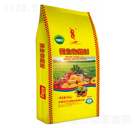 ΢�������-���v-���컯