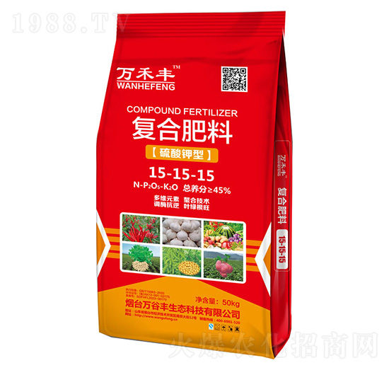 ������͏ͺϷ���15-15-15-�f���S