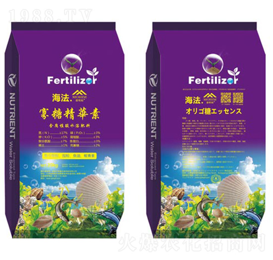 ���Ǿ��A��-�����S