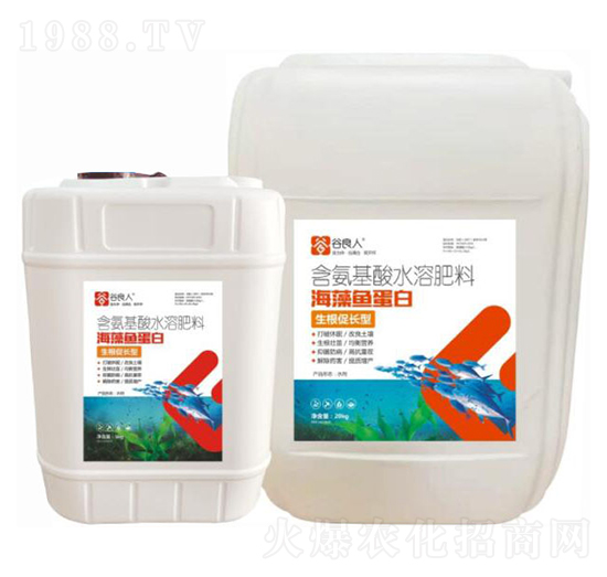 �������L�ͺ����~����-������-�֠�Ԫ