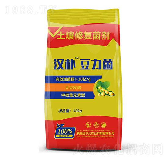 �����������ޏ�(f��)����-�h��