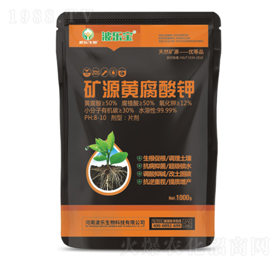 �VԴ�S�����-��������