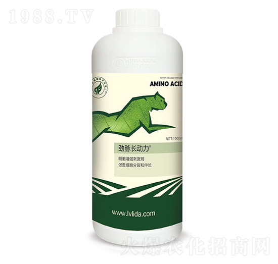 ��(x��)������(qi��ng)�̼���-���}�L(zh��ng)��(d��ng)��-�G���_(d��)