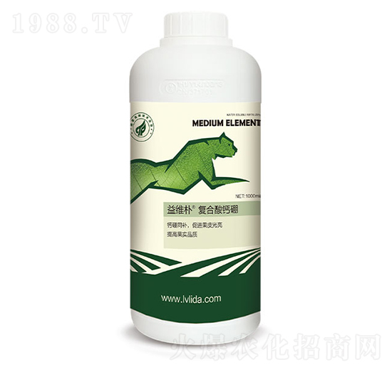 ��(f��)�����}��-���}��S��-�G���_(d��)