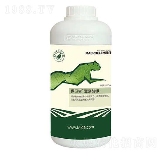 �������-���}���l(w��i)��-�G���_