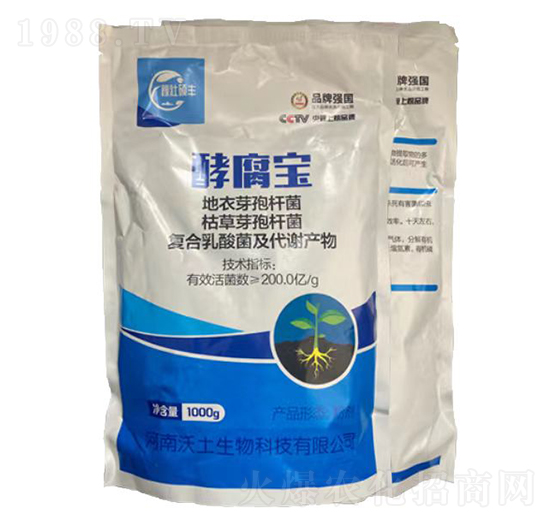 �͸���-�ډѴT�S-��������