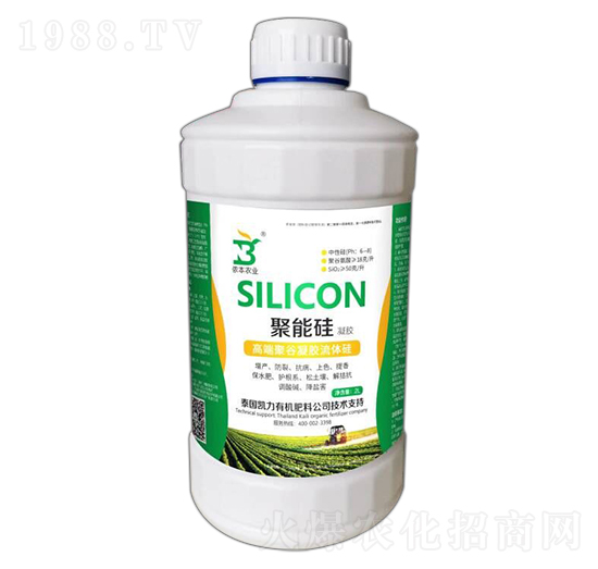 �߶˾۹����z���w��-���ܹ����z-�z���r(n��ng)�I(y��)