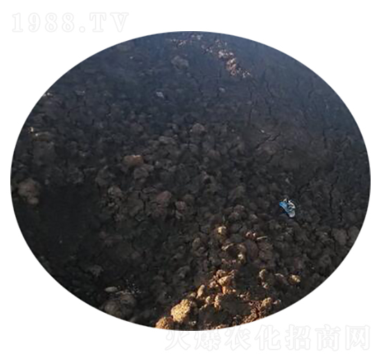 ţ�S�ЙC(j��)��-�r(n��ng)��ʘI(y��)