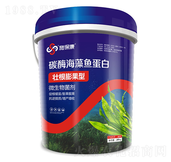 �Ѹ������̼ø�����~����-ʩ����