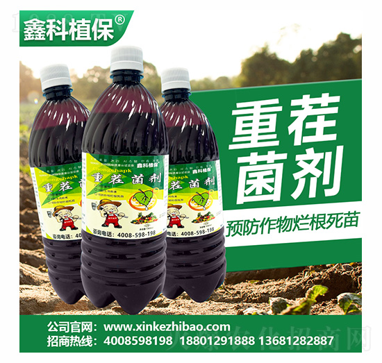 �ز����-�ο�ֲ��