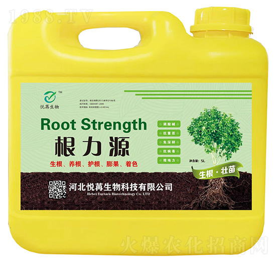 ����Դ-����