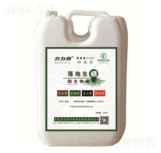 ΢�������-�������-���������B(t��i)