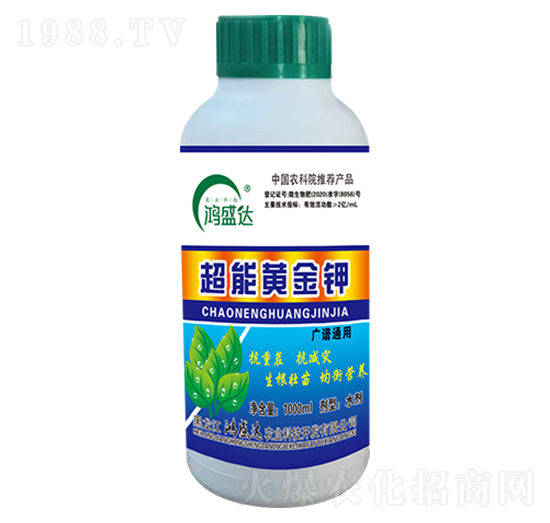 �����S���-��ʢ�_