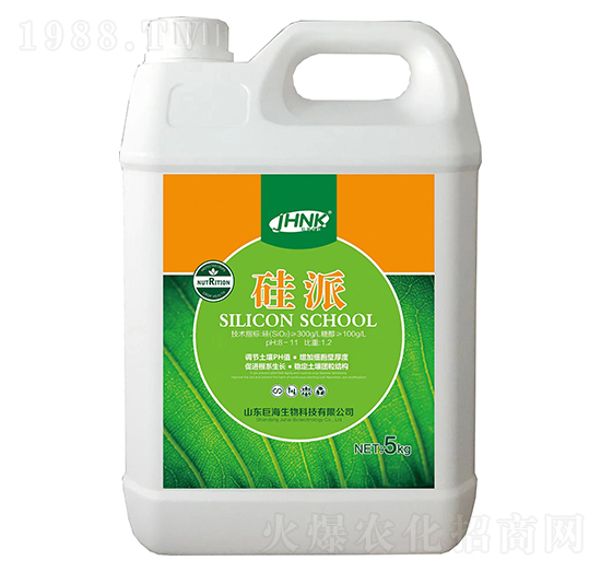 ����-�޺�����