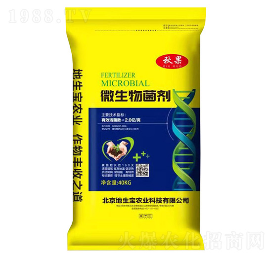 40kg΢�������-���-������