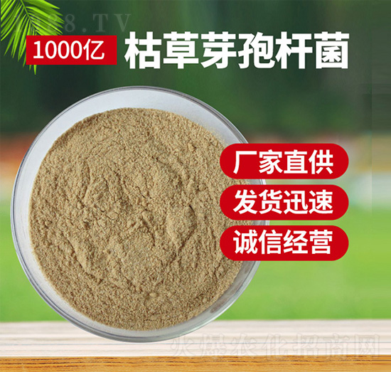 �ݲ�ѿ�ߗU��ԭ��-������