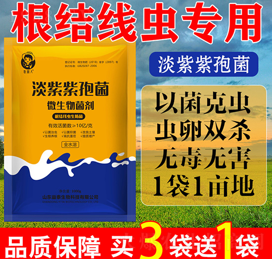 �������߾�-΢�������-������