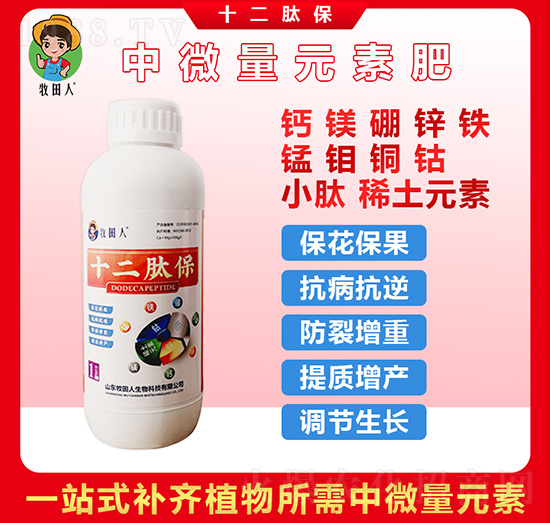 ʮ���ı�-������