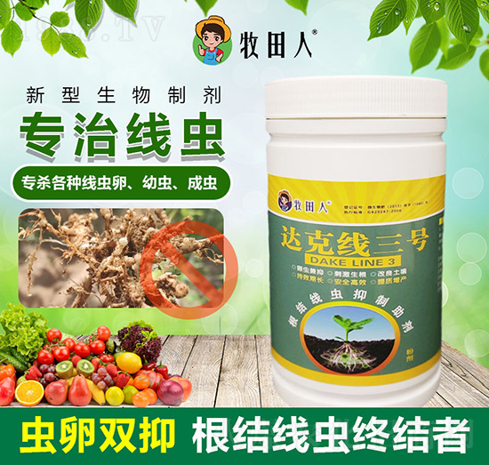 �_�˾���̖-������