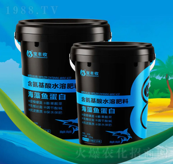 �����~(y��)����-���S��