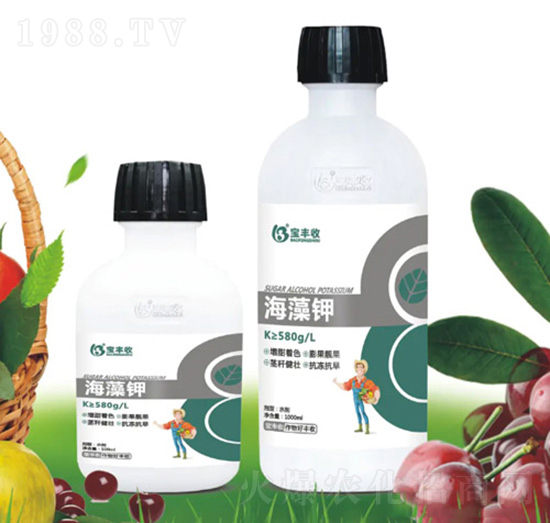 �����-���S��