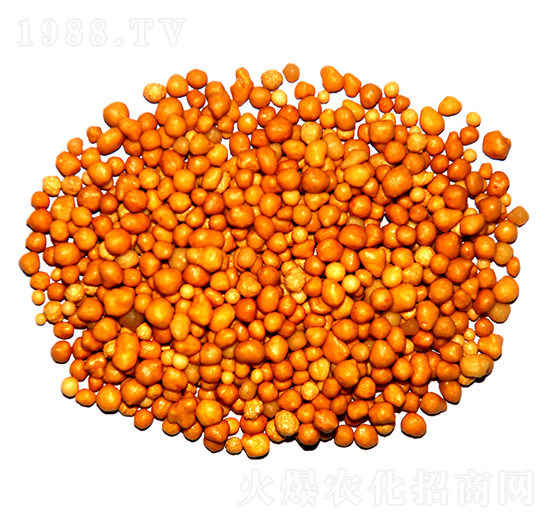 ����n�w����ጷ�15-7-13-ïʩ����