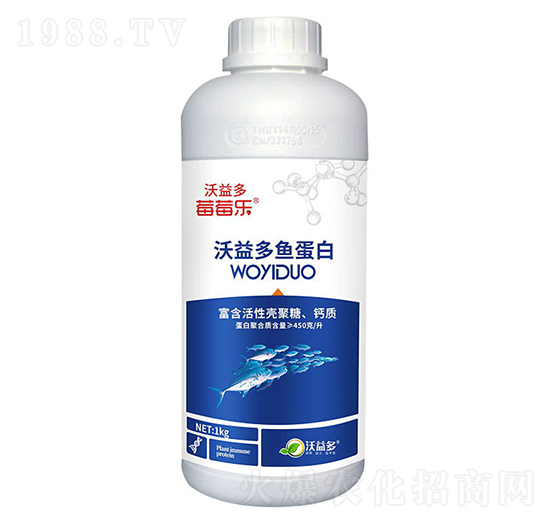 ������~����-ݮݮ��-�����