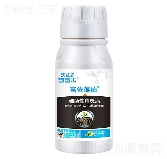 100�˼����Խǰ߲�-��������-ݮݮ��-�����