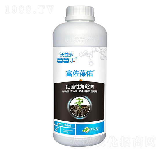 ��(x��)���Խǰ߲�-��������-ݮݮ��(l��)-�����