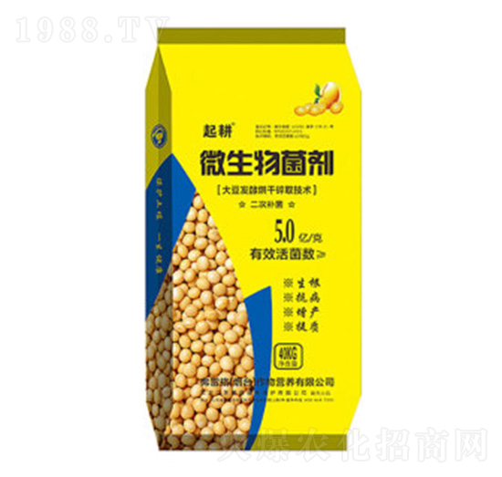 ΢�������-���-���׸�