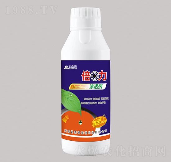 �B͸��-����-������