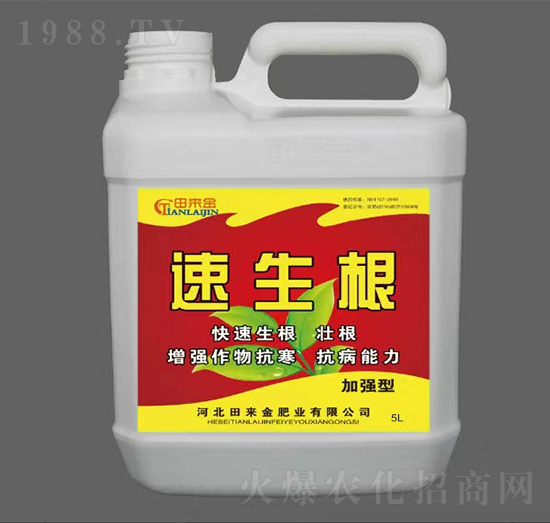 �ӏ�(qi��ng)��������-�����