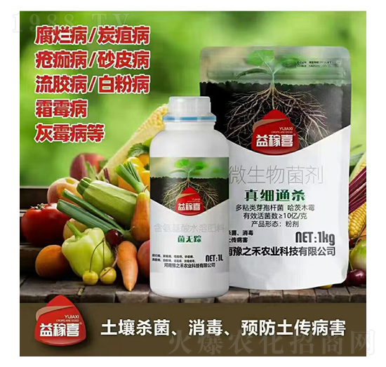 ���oۙ+�漚ͨ��-���ϲ-ԥ֮��