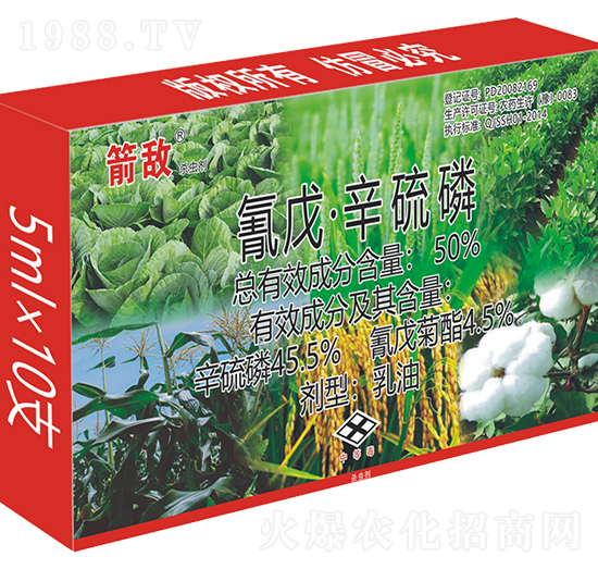 50%���졤����������-����-���˻��W(xu��)