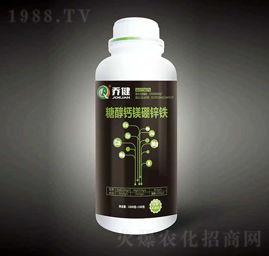 �Ǵ��}�V���\�F-�̽�