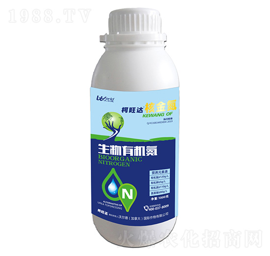 �˽�-�����_(d��)-�֠����r(n��ng)�I(y��)